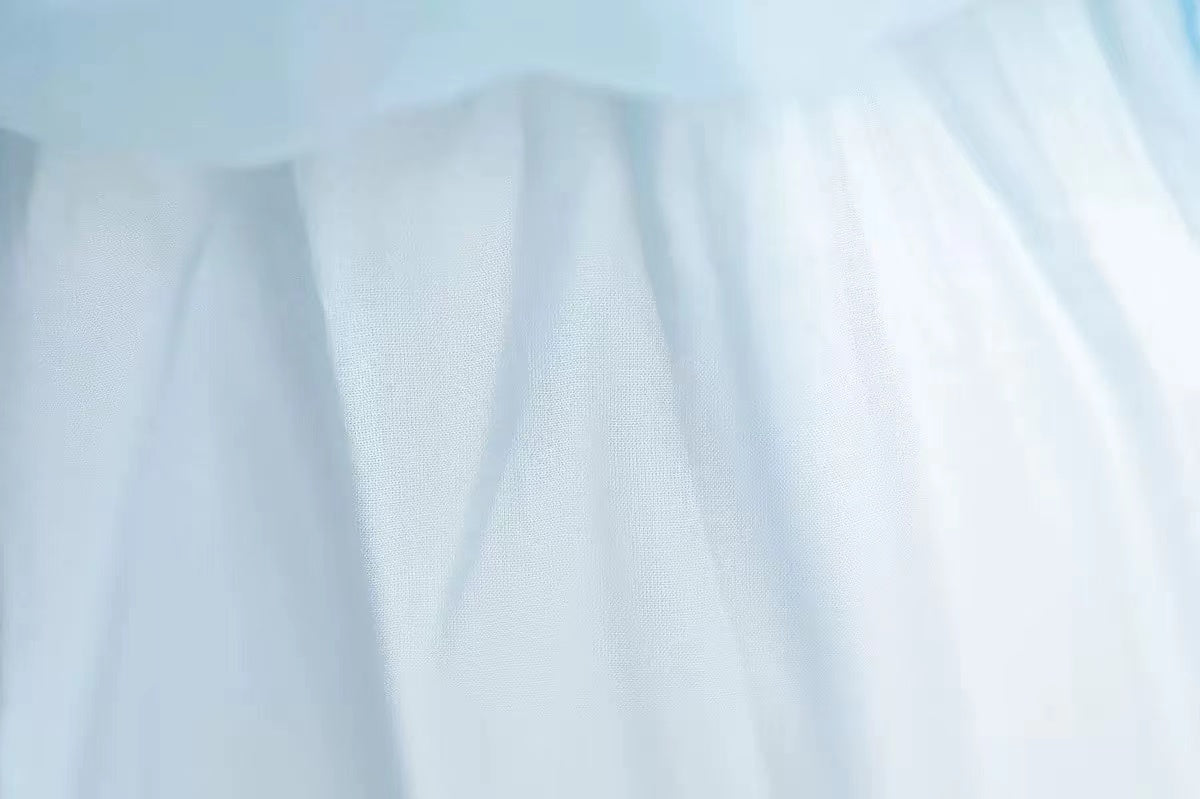 Cinderella Dress