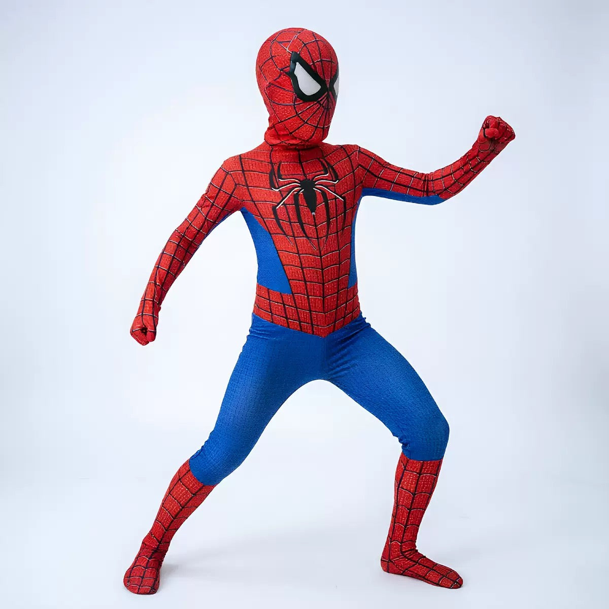 2026 Brand New Day Adults Costumes