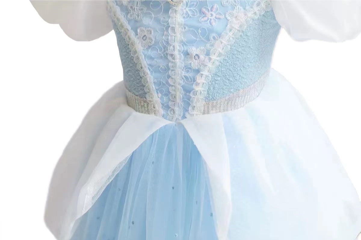 Cinderella Dress